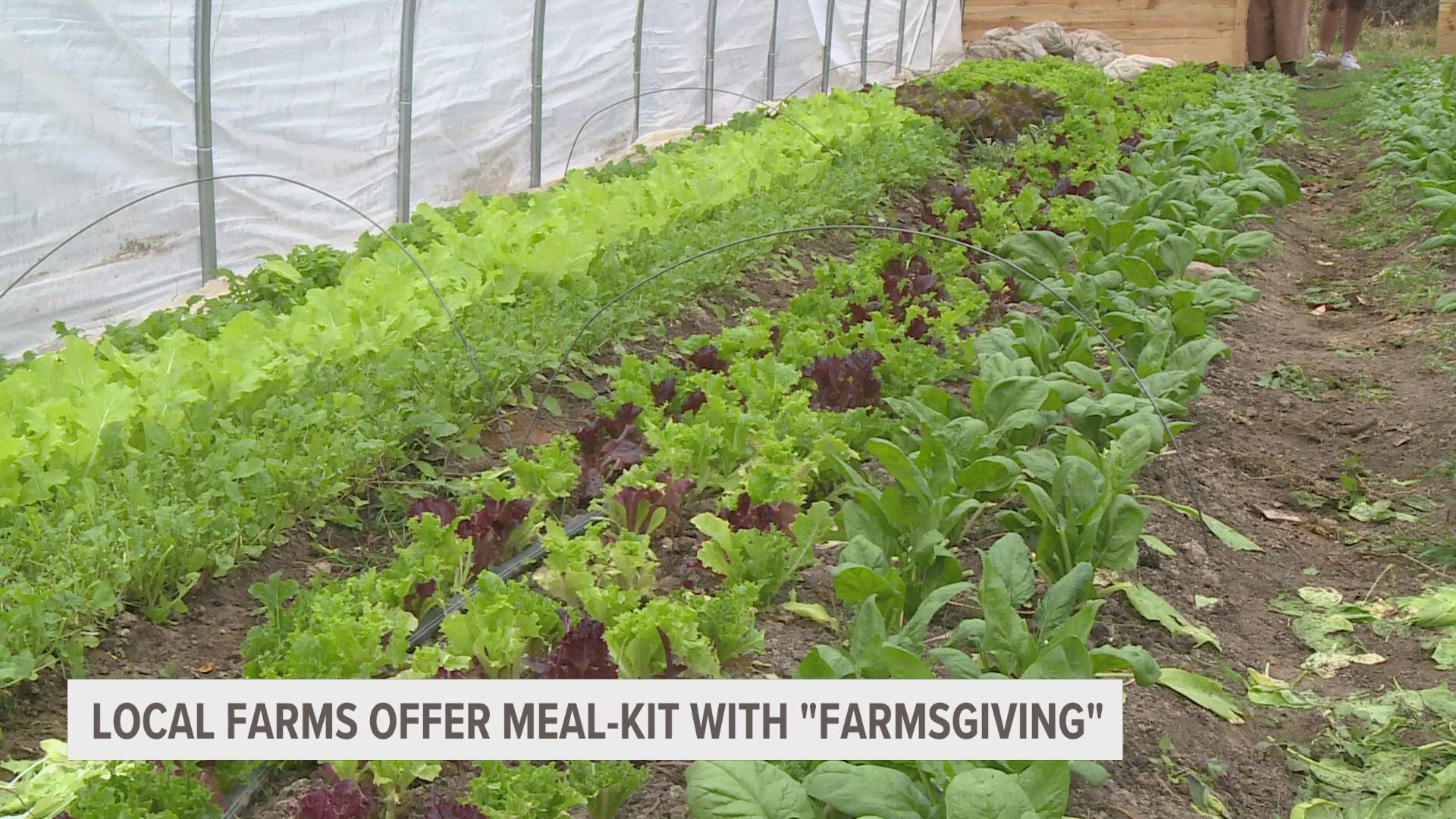 Two Belding farms are advocates of giving back from the heart, and the soil.