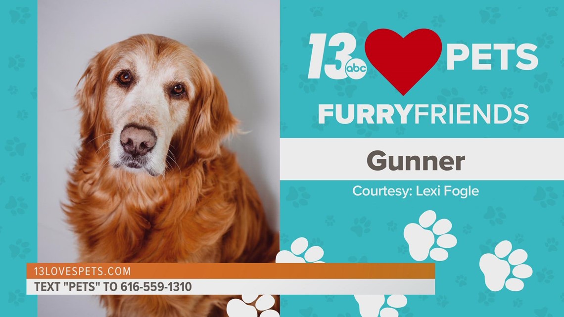 Furry Friends:  June 15, 2022 | Gunner and Bandit