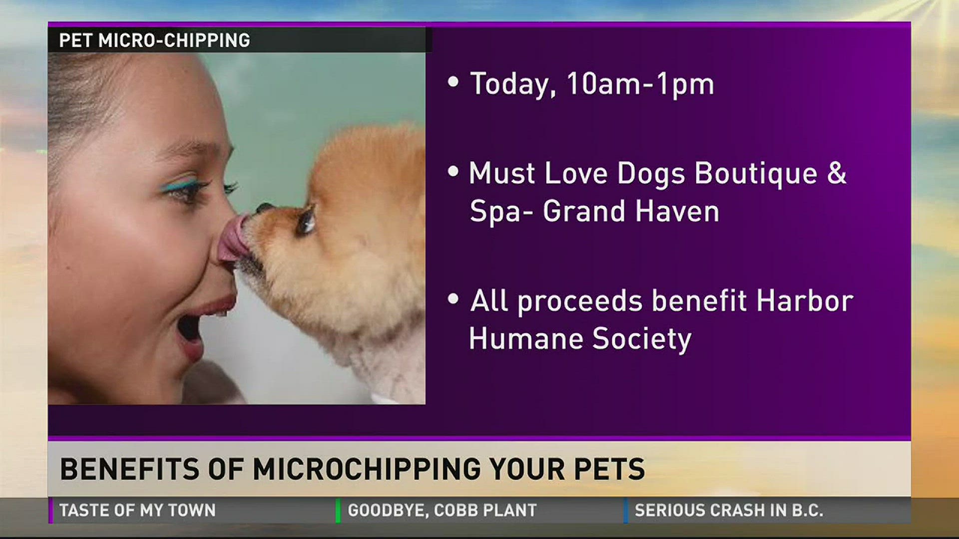 Microchipping your Pets