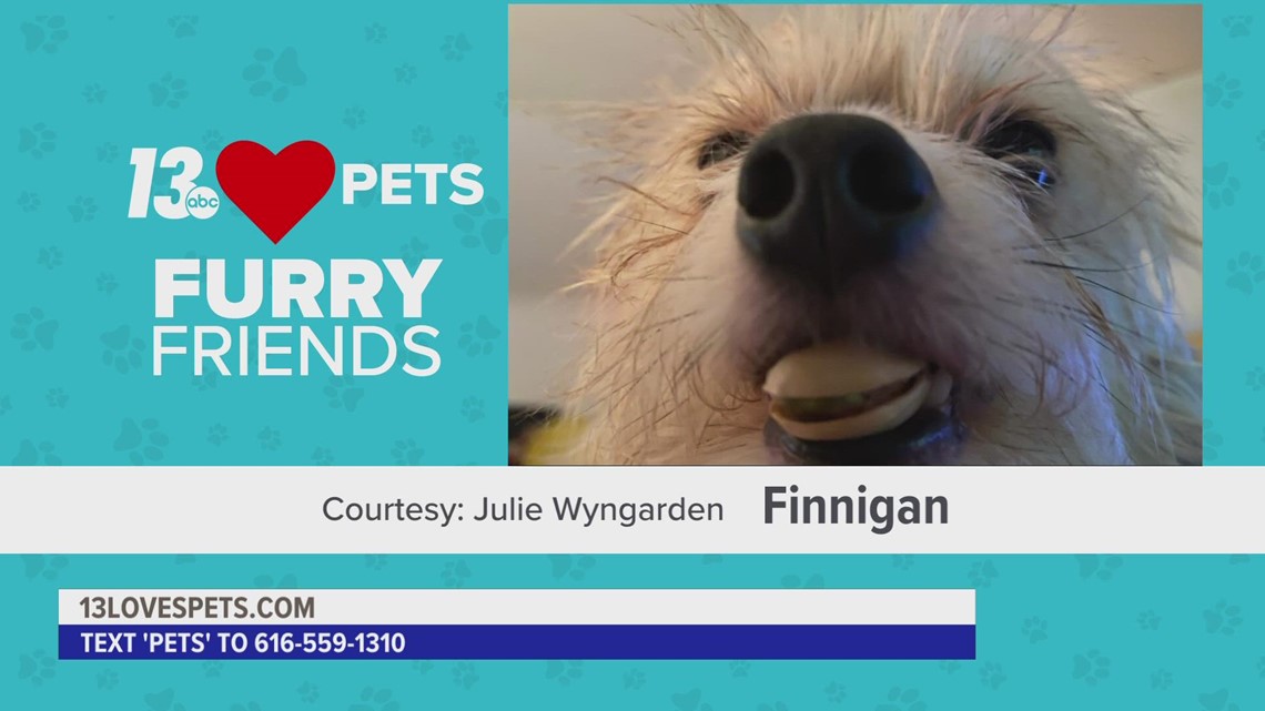 Furry Friends:  August 5, 2022 | Charlie & Murphy and Finnigan
