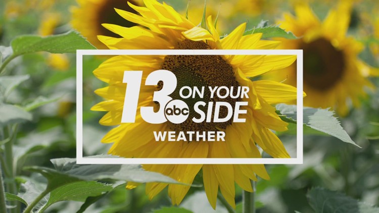 13 On Your Side Forecast: Fewer Showers; Sunshine Returns Thursday