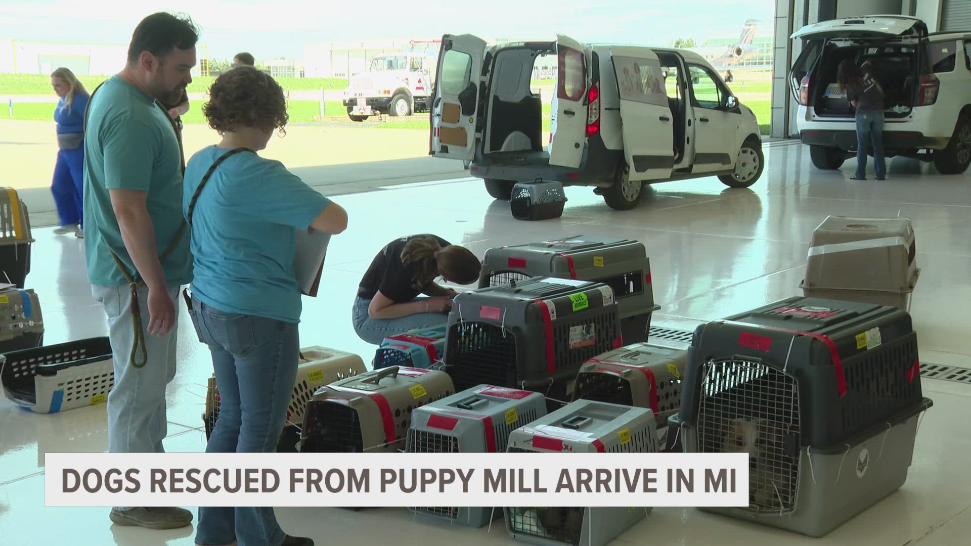 Dogs rescued from a puppy mill in North Carolina are now in West Michigan