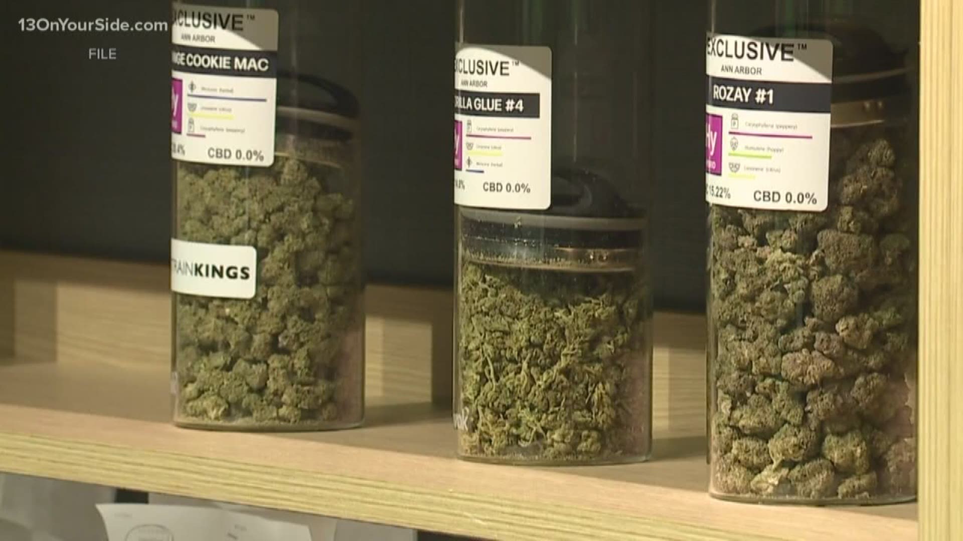 A new law in Michigan will now require a warning label for pregnant women on all recreational or medical marijuana products.