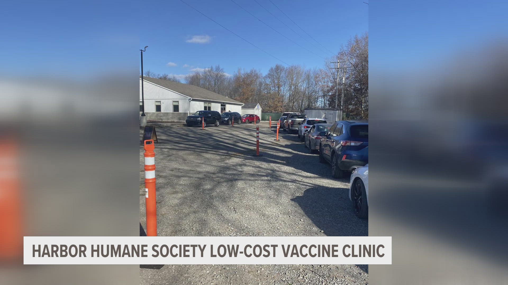 Harbor Humane Society in West Olive is hosting a low-cost vaccine clinic for pets from noon until 2 p.m. on Thursday, Nov. 21.