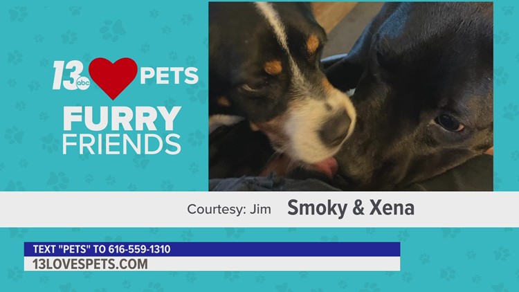 Furry Friends:  September 21, 2022 | Smoky and Xena