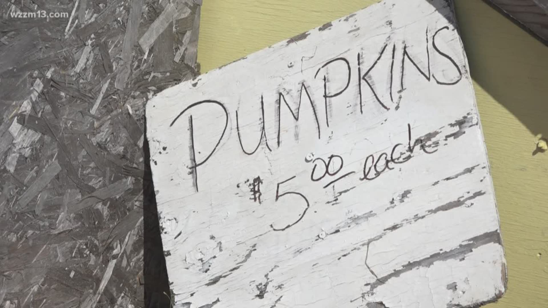 Six-year-old's pumpkin fundraiser generates $23K