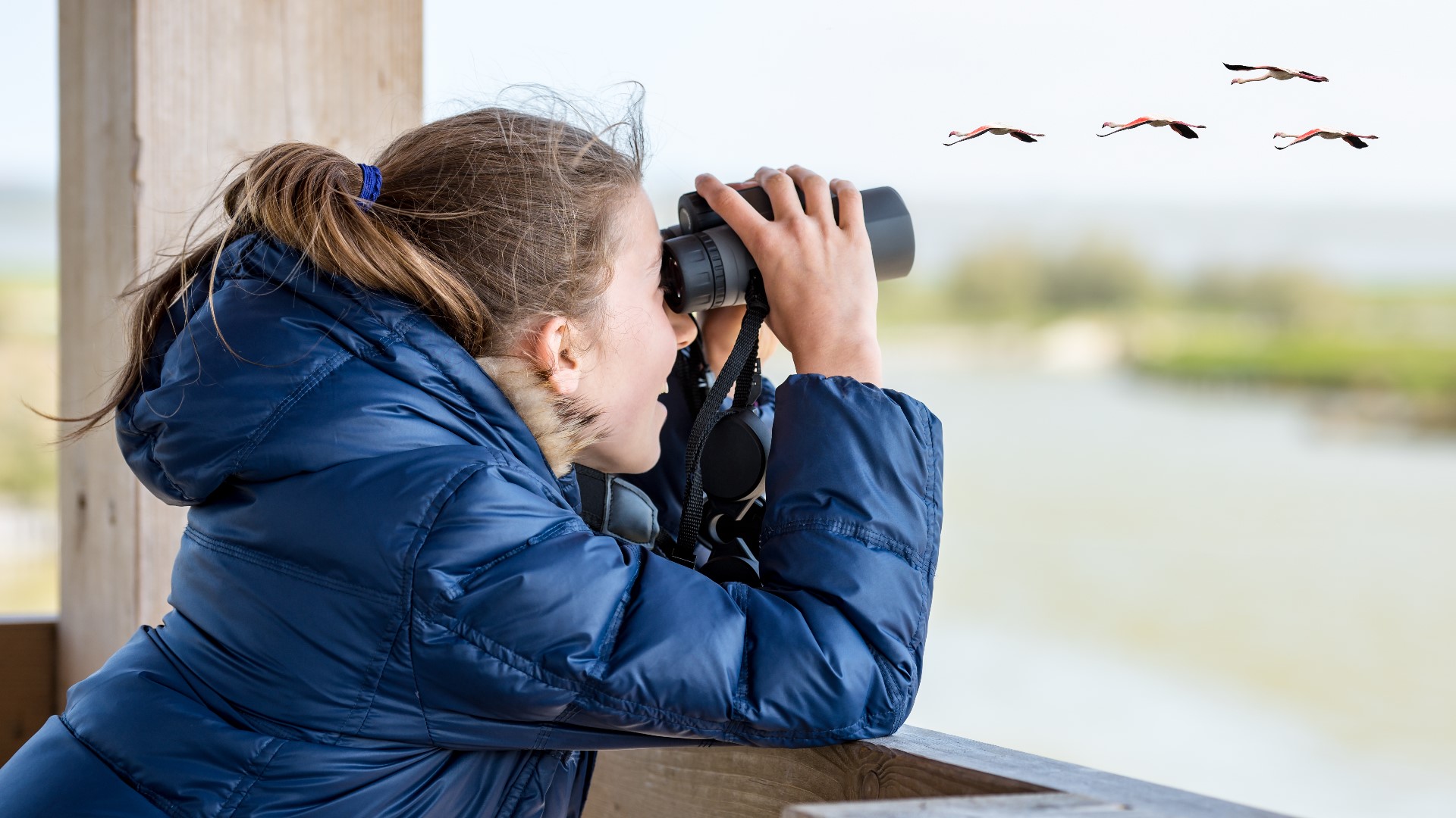Blandford Nature Center has tips for teaching kids bird watching skills