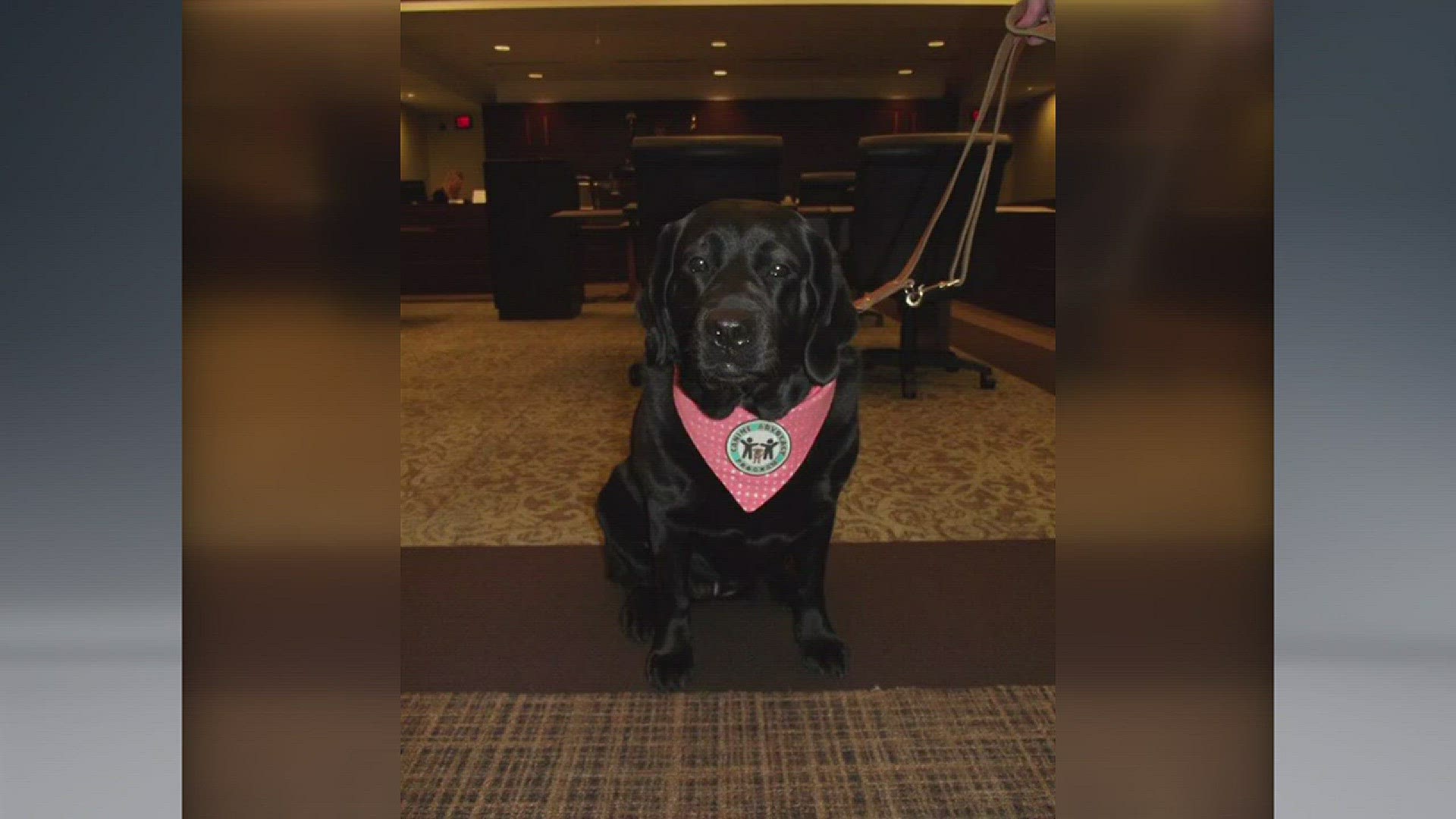 K-9 advocate sworn in at Ottawa County courts