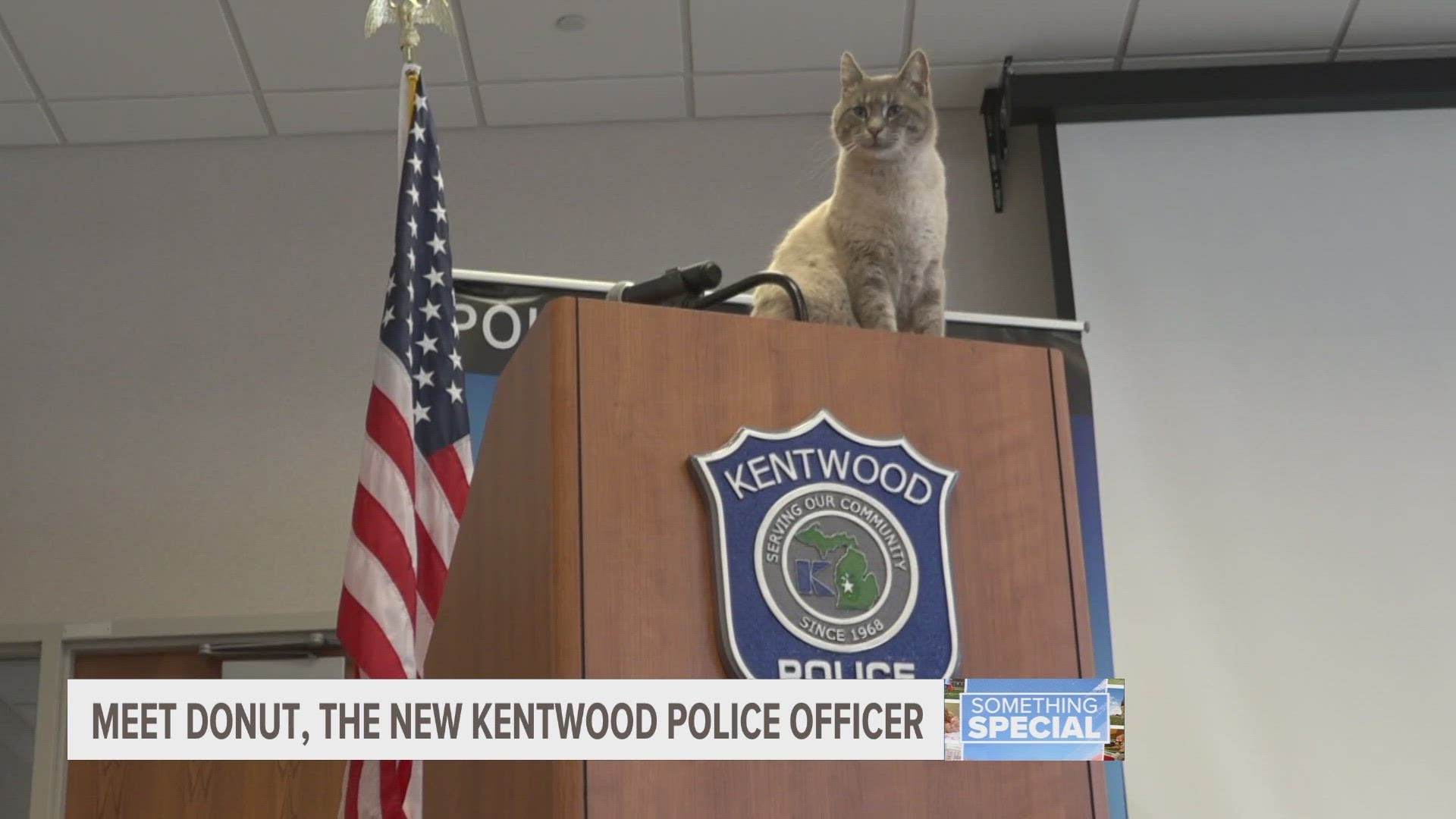 Officer Donut showed up at the police station's back door a year ago. Now he has a job—the leader of the force's "feline unit"— and a forever home.