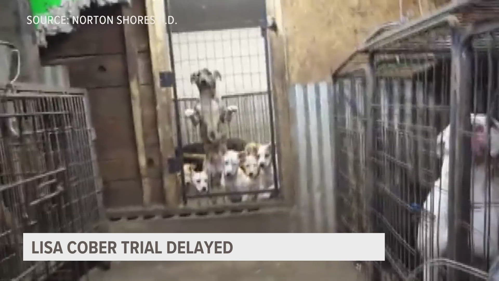 Harbor Humane director Jen Self-Aulgur, who's shelter helped rescue many of Cober's dogs, is disappointed the trial has taken so long to begin.
