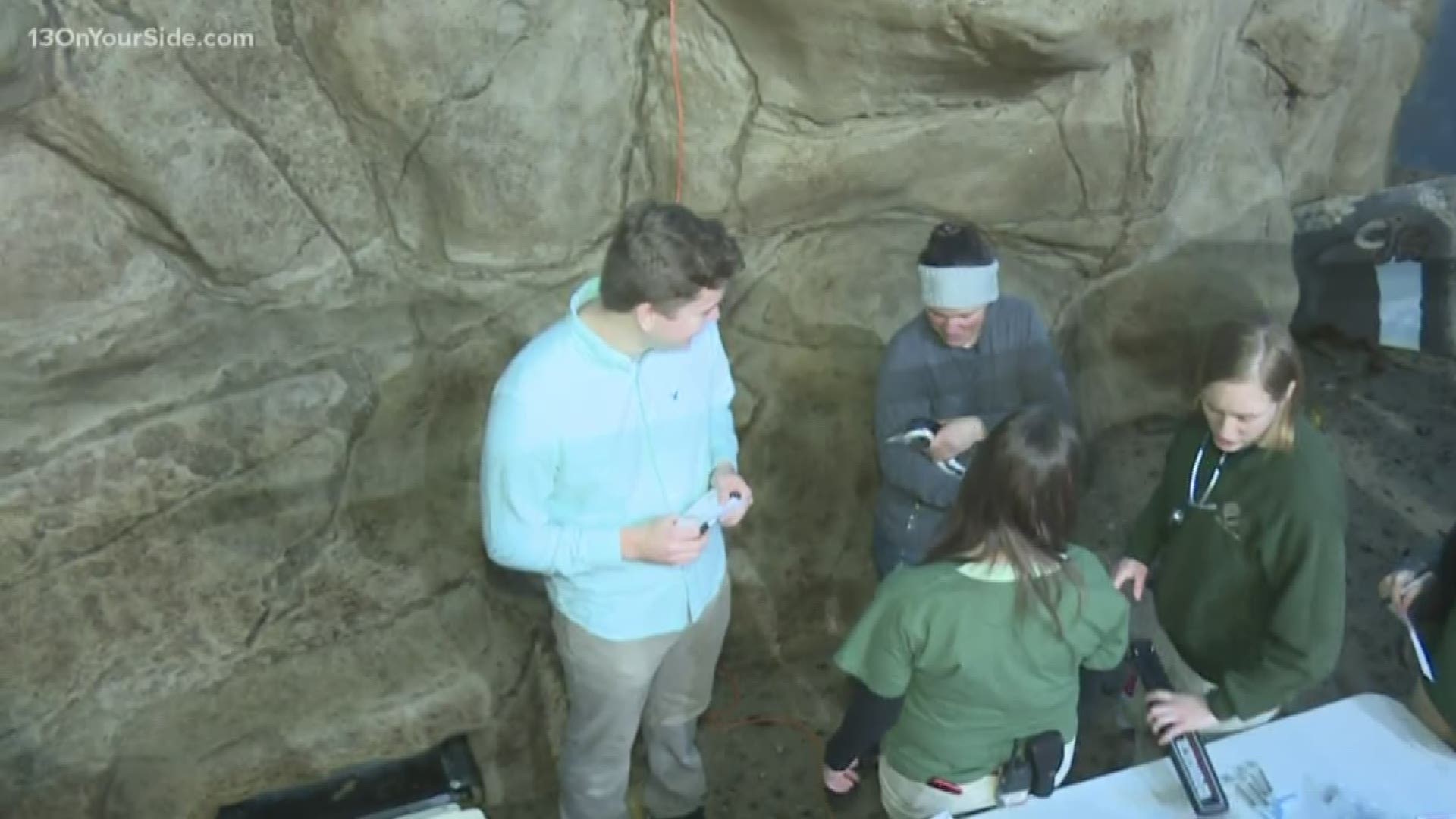 A zookeeper at the John Ball Zoo explains the process of examining the penguins in their exhibit.