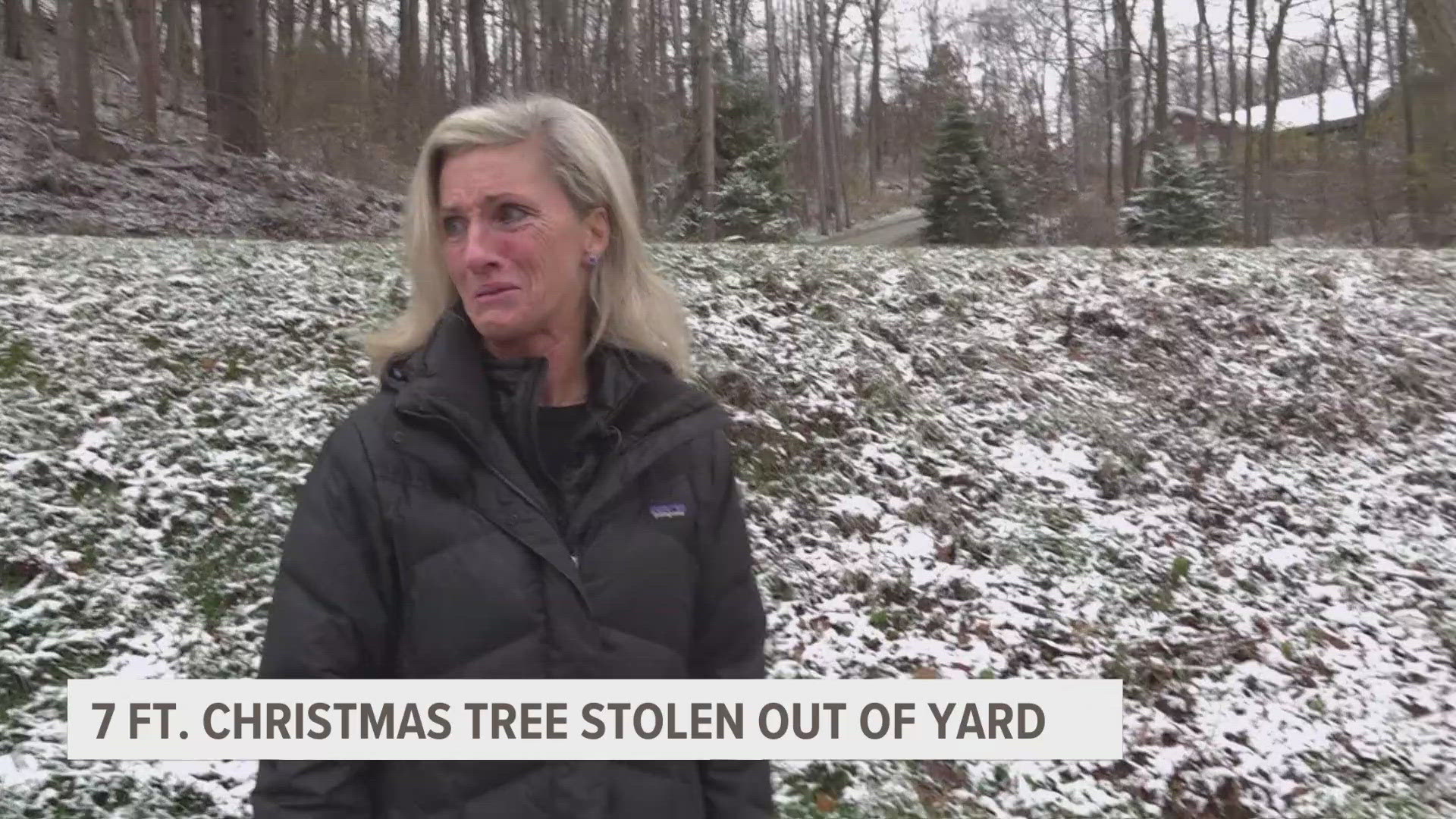 On Tuesday, Andrea Arnold woke up to find one of her trees stolen from her yard.