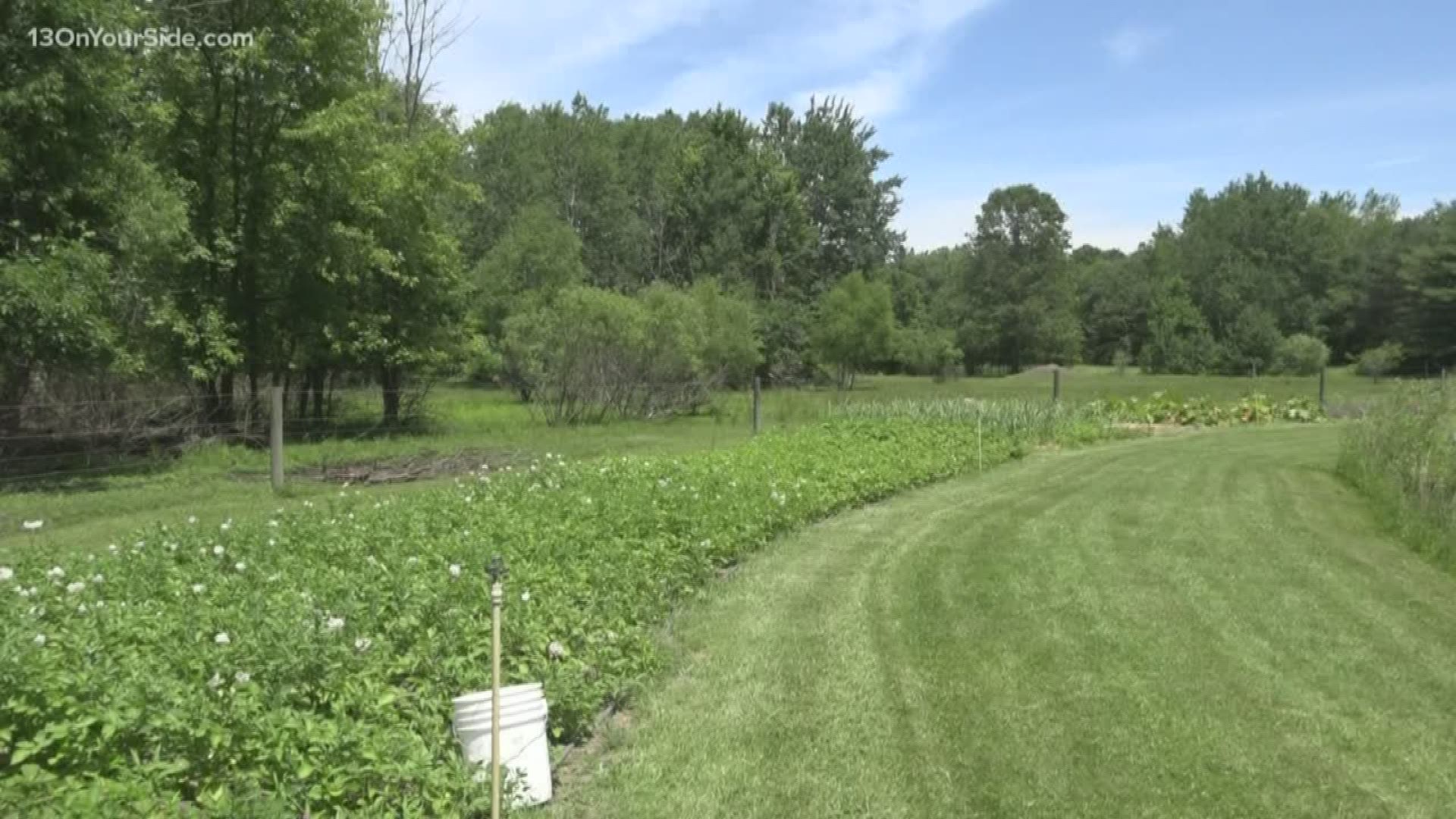 Recent wet weather makes farming difficult in West Michigan