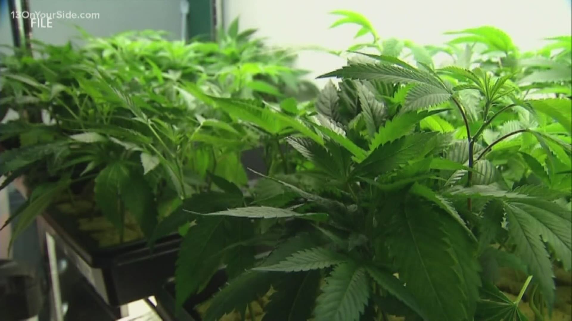 Recreational marijuana was legalized across the state in November, but the industry is still getting off the ground.