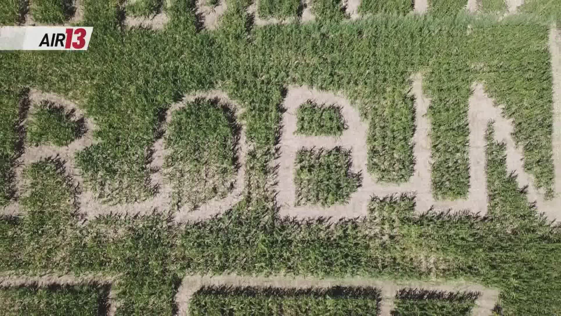 One of West Michigan's most popular destinations has a special tribute as part of their annual corn maze.