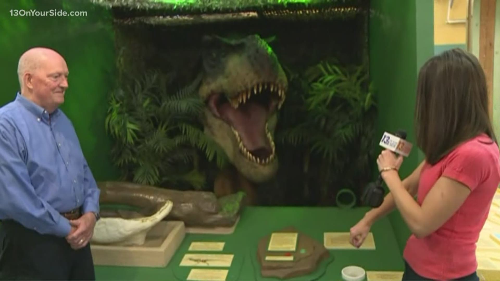 A traveling dinosaur exhibit has made its way to the Grand Rapids Children's Museum and 13 ON YOUR SIDE's Kristin Mazur got a chance to check it all out.
