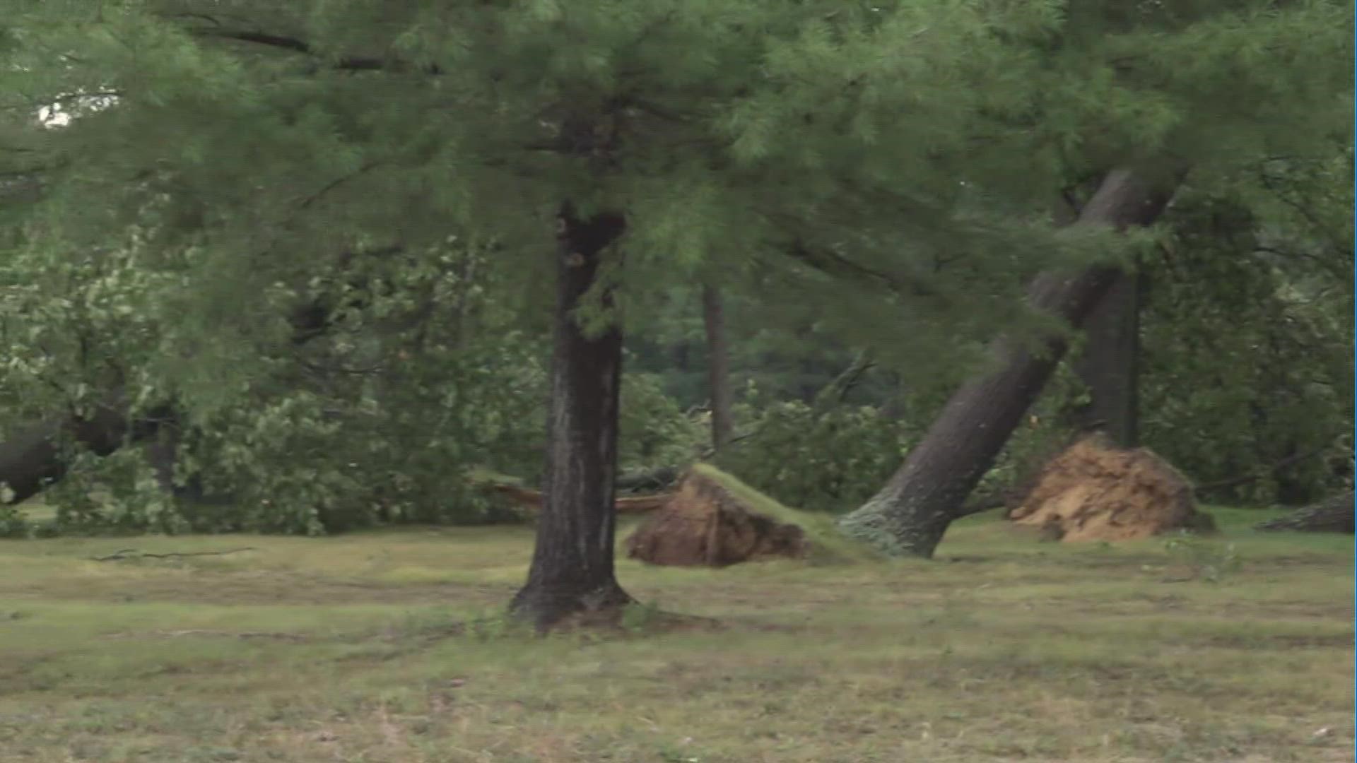 Severe storms crashed through Muskegon Tuesday afternoon, downing trees, powerlines and uprooting trees.