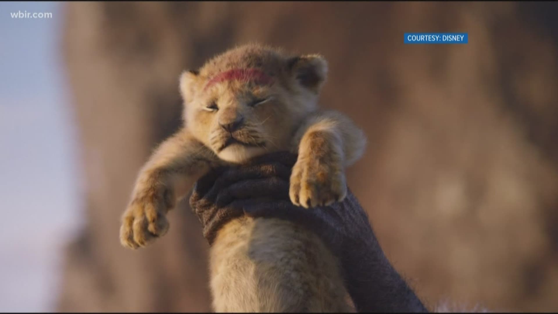 Jackie Solberg gives us the scoop on the new movie "The Lion King" from a parent's perspective.