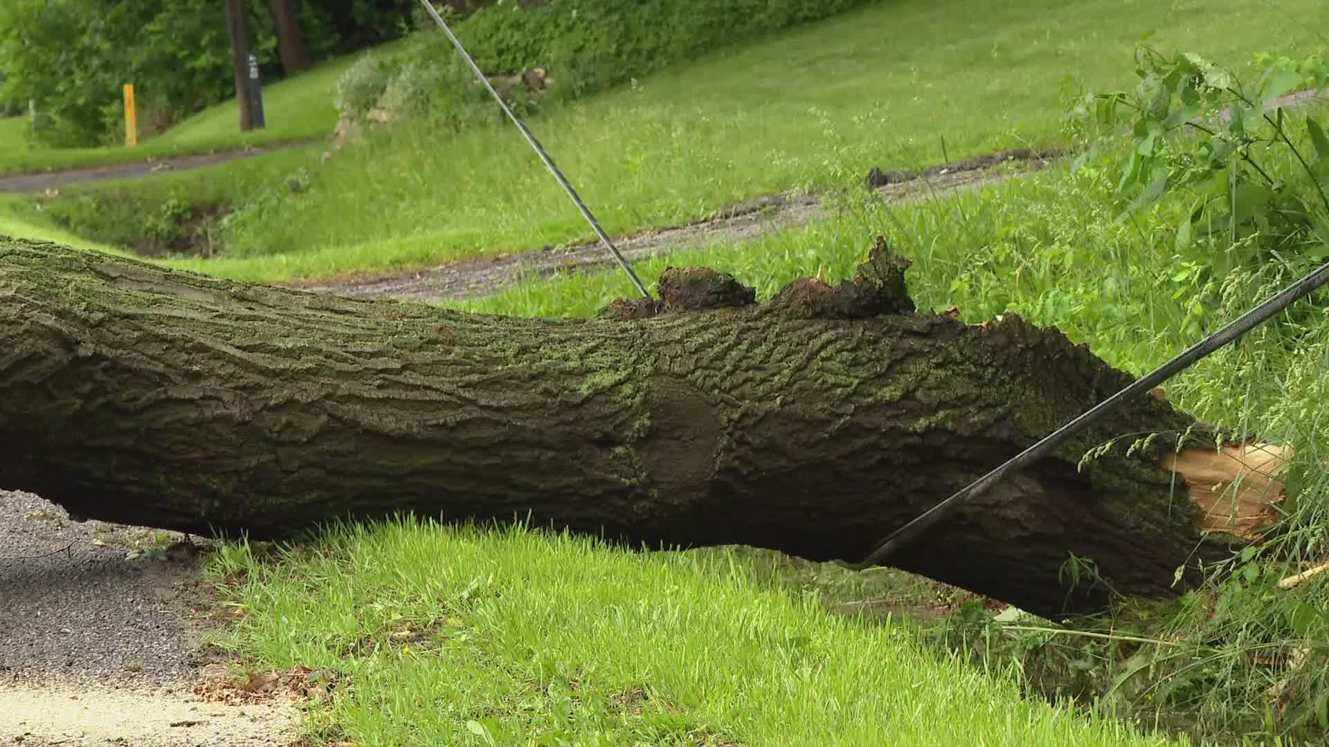 The remnants of Cristobal hit West Michigan Tuesday evening.