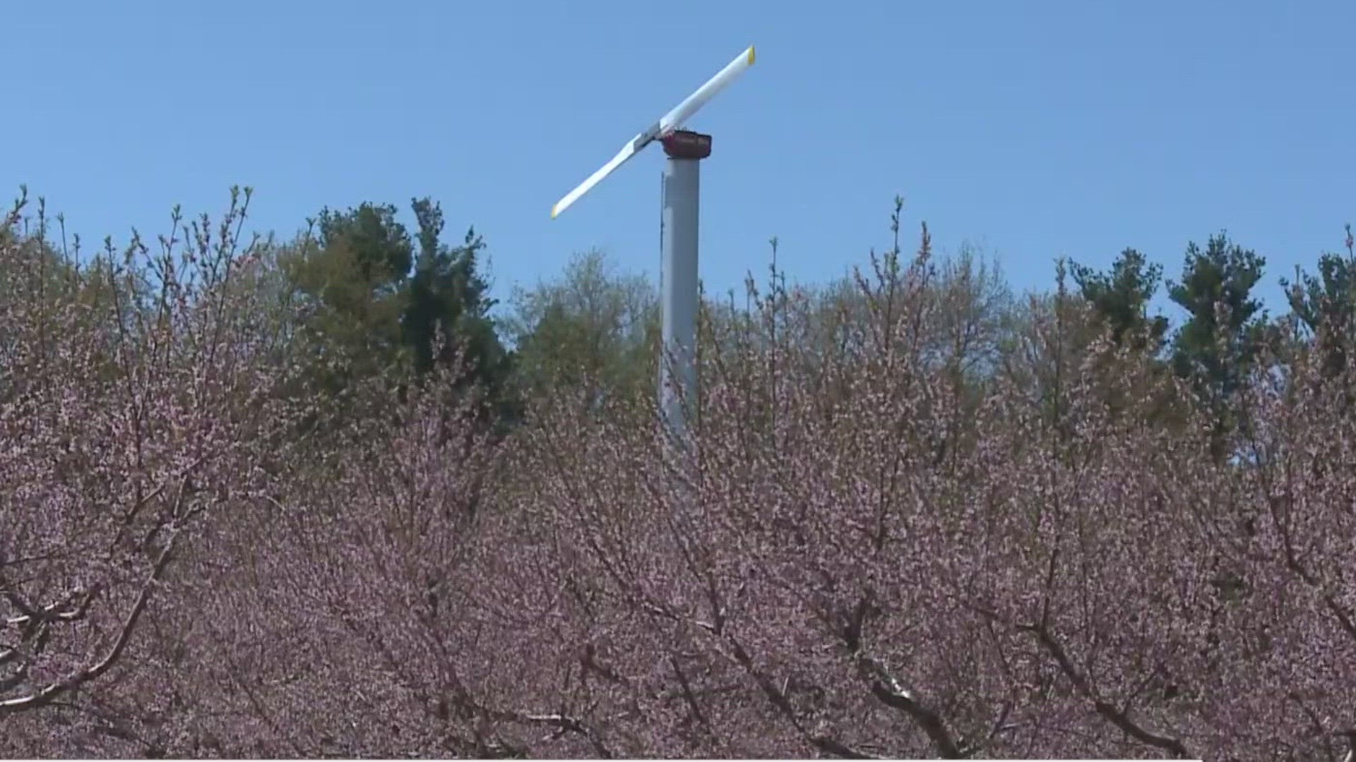 Fruit trees are starting to bloom around West Michigan, but that doesn't mean farmers are out of the woods yet! Meteorologist Michael Behrens explores their defense!