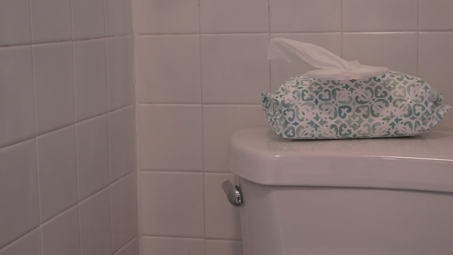 A West Michigan lawmaker is proposing a bill that would ban the sale of wipes that don't have the proper "do not flush" labeling.