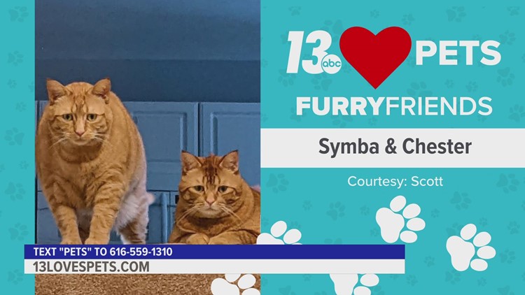 Furry Friends:  September 23, 2022 | Symba & Chester