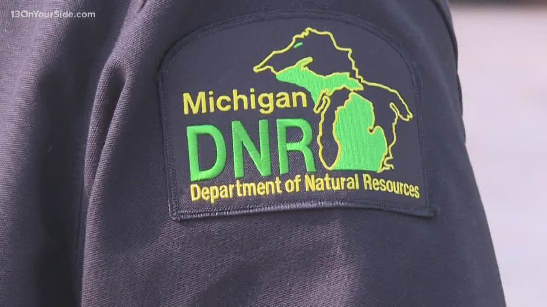 State officials say hunters are reporting success, despite a lot of standing corn in the lower peninsula, which gives deer a place to  hide.