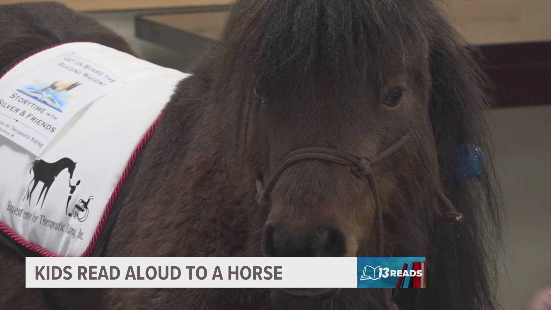 A brown miniature horse named Flicka joined children inside the Cedar Springs Public Library for a special event.