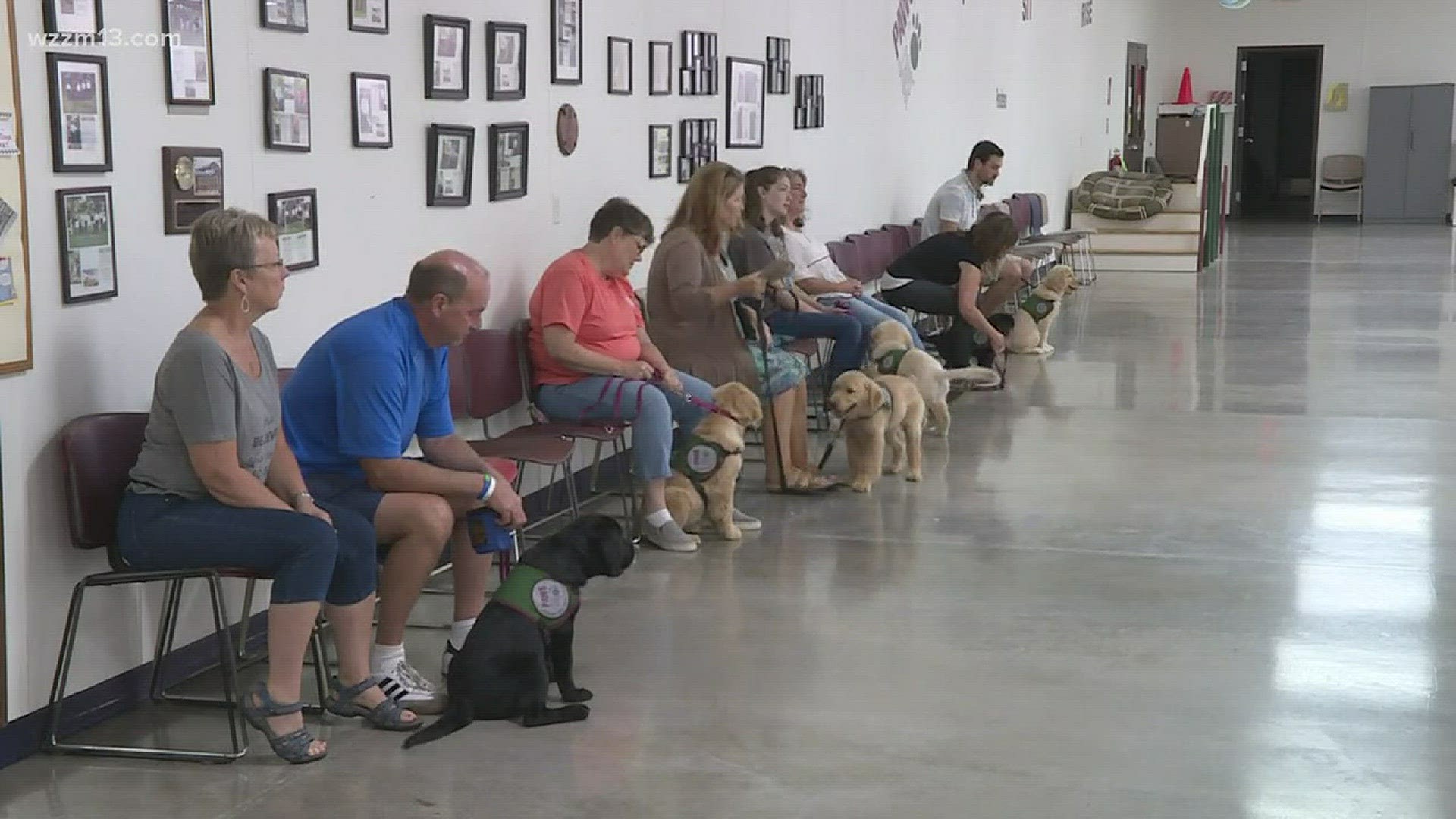 First day of puppy kindergarten