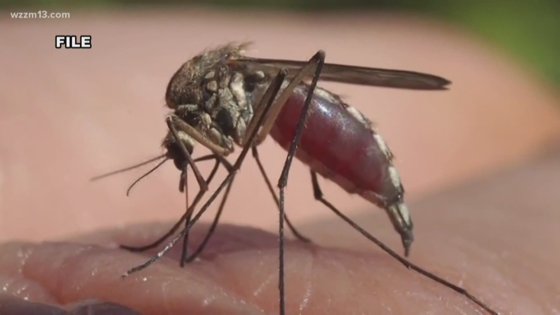 West Nile virus found in mosquitoes in Kent County