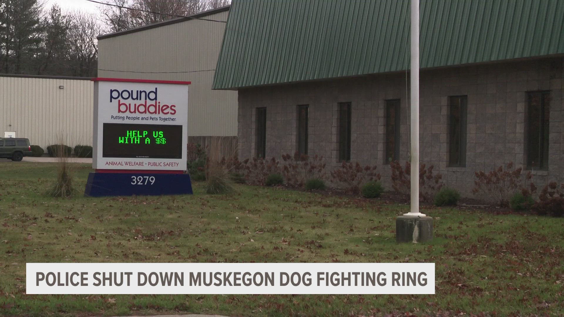 22 dogs are continuing to recover after being rescued from an illegal dog-fighting operation in Muskegon County earlier this month.