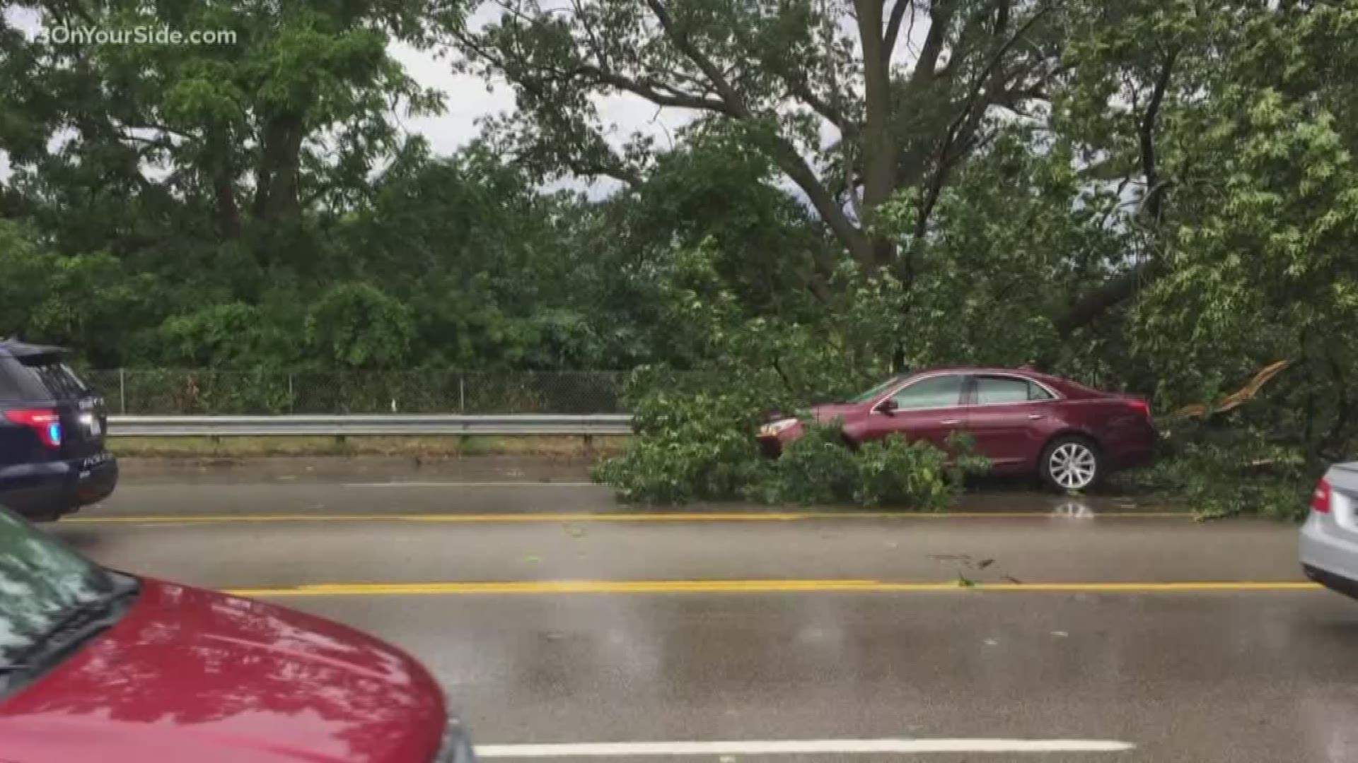 Tree falls on car driving down 28th Street