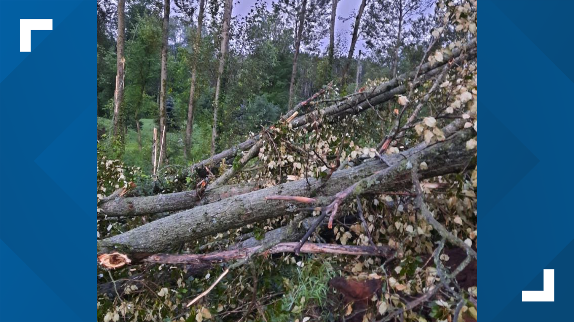 Storms leave behind downed trees and power lines, fires and power ...