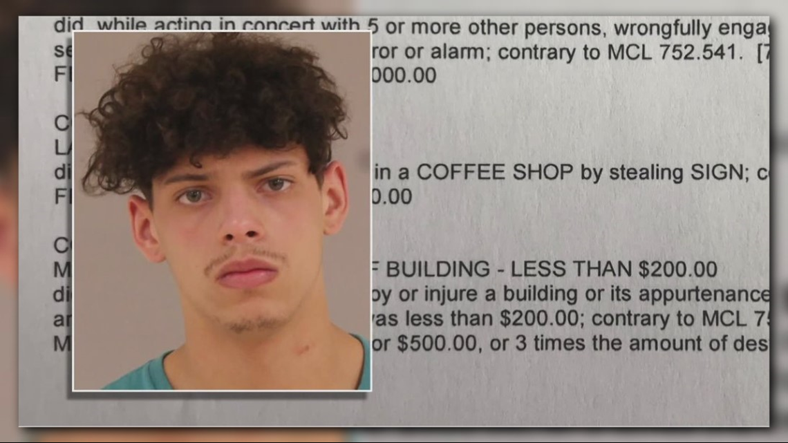 Grand Rapids rioter gets 120 days in jail for 'wanton and pointless' vandalism - Vimarsana News