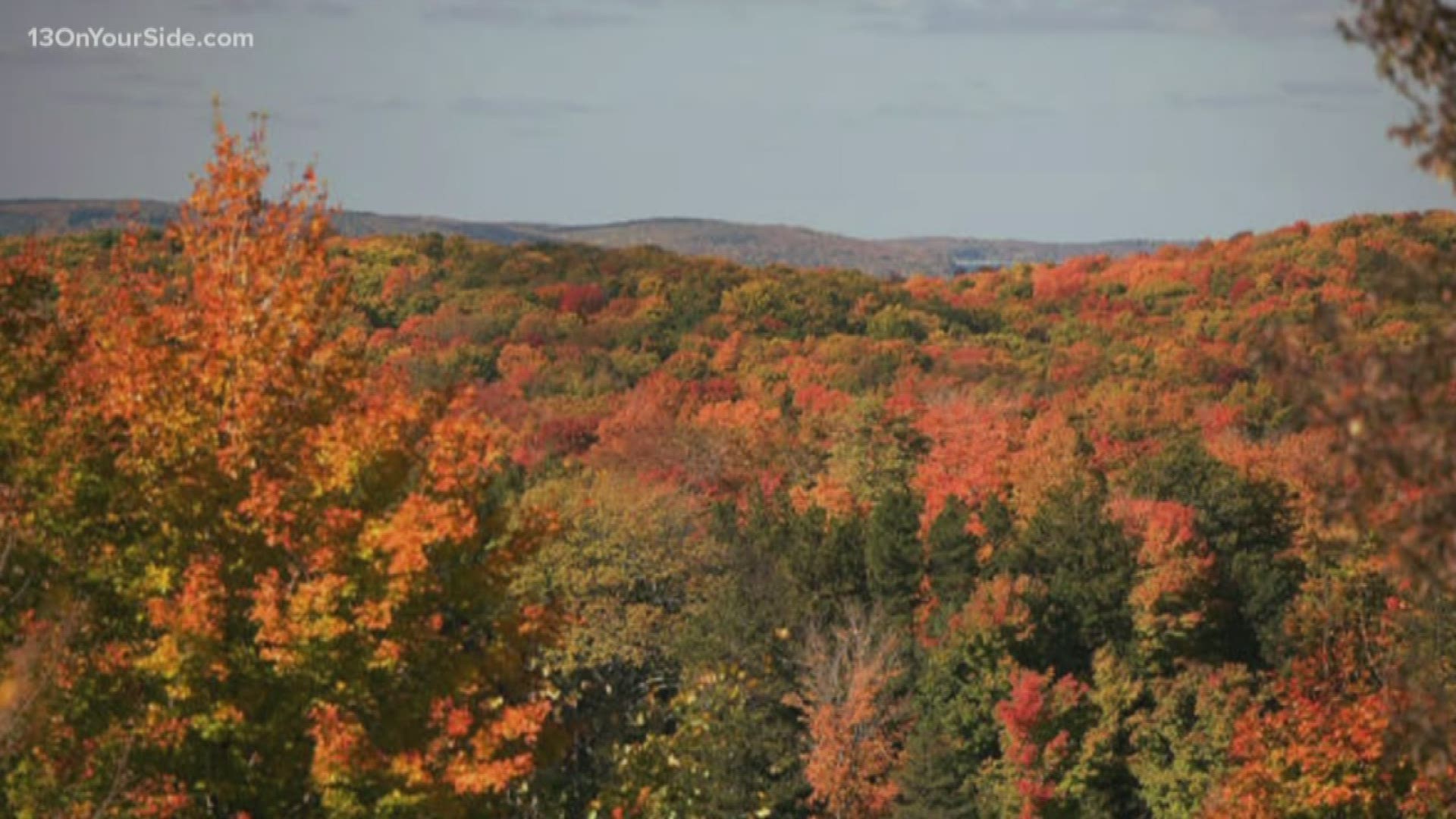The Manistee County Visitors Bureau has created a fall 2019 color guide for the best places to see what Michigan's fall foliage has to offer.
