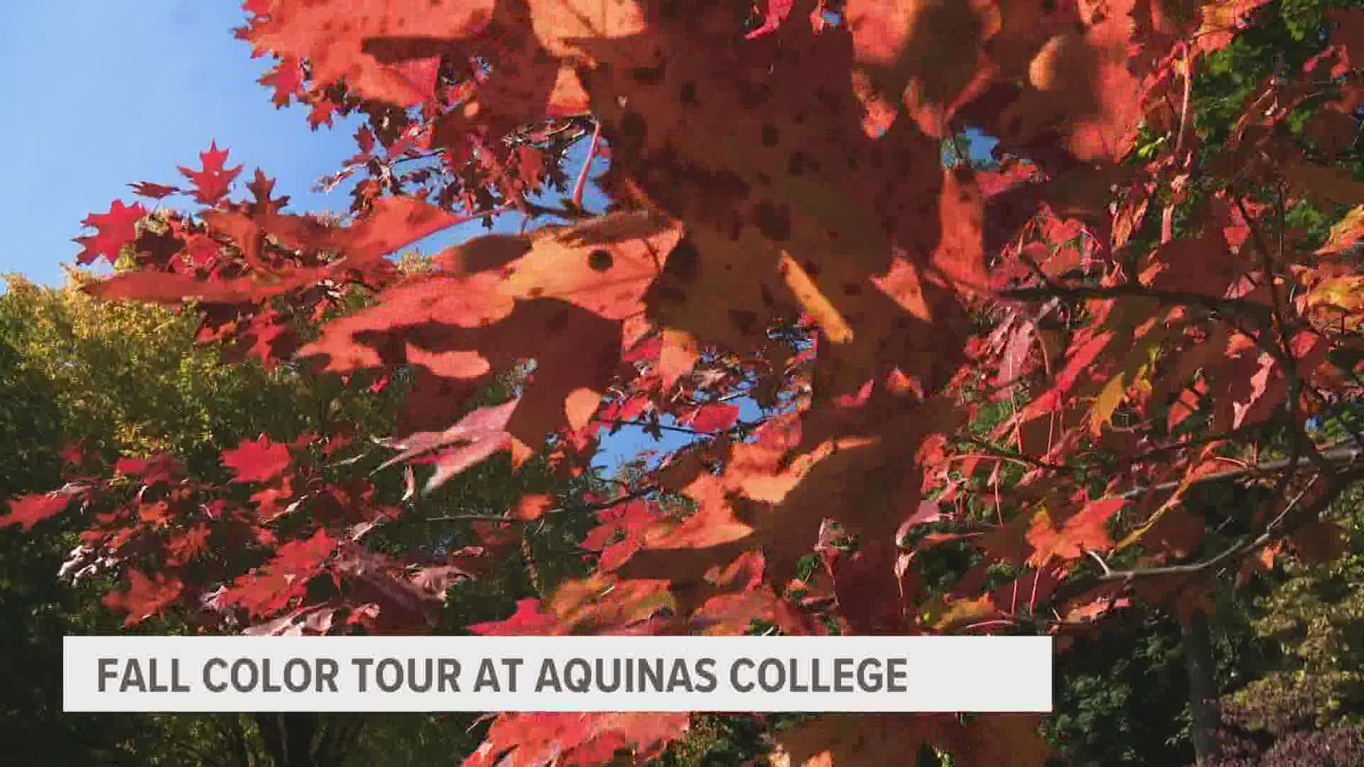 During the month of October, you can take a guided tour of all of the fall colors on the 117-acre campus.