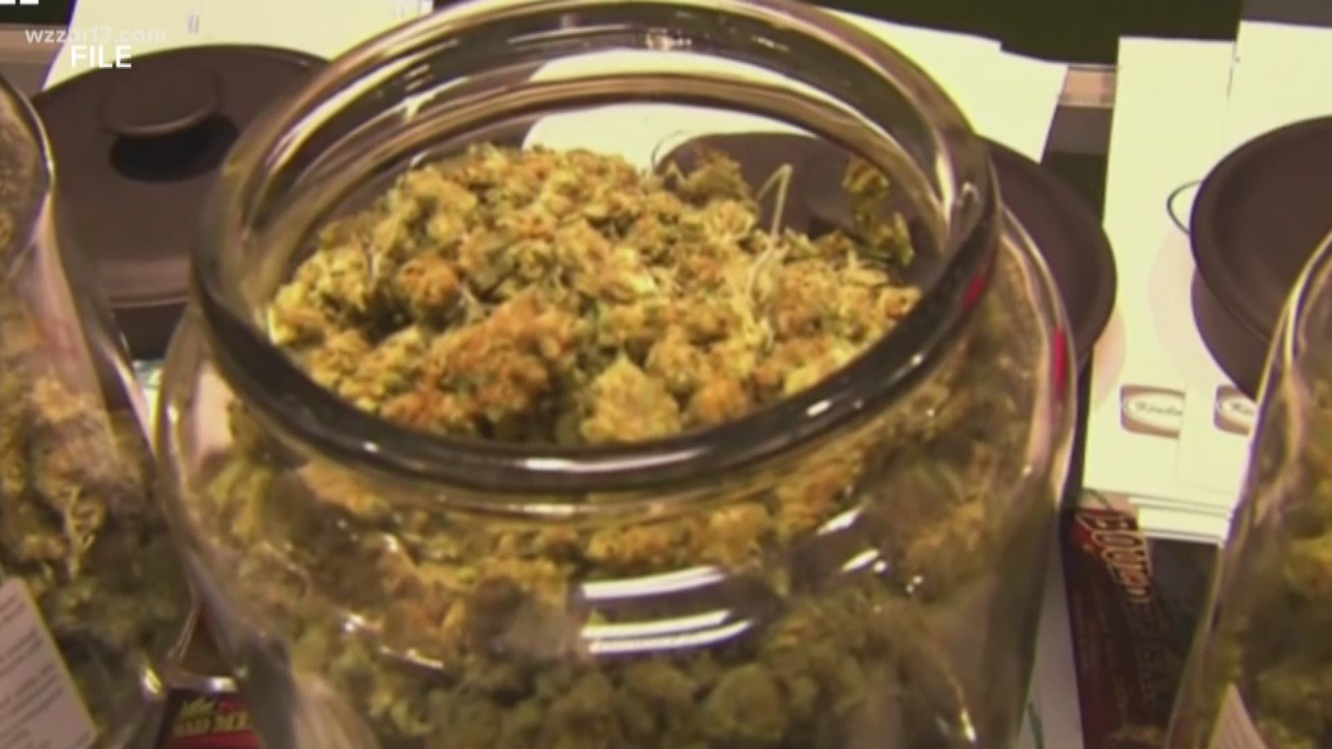 Proposal 1 legalizes recreational marijuana