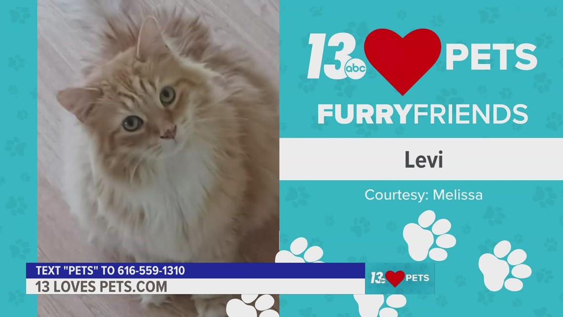 Furry Friends:  February 2, 2023 | Levi and Baxter & Hazel