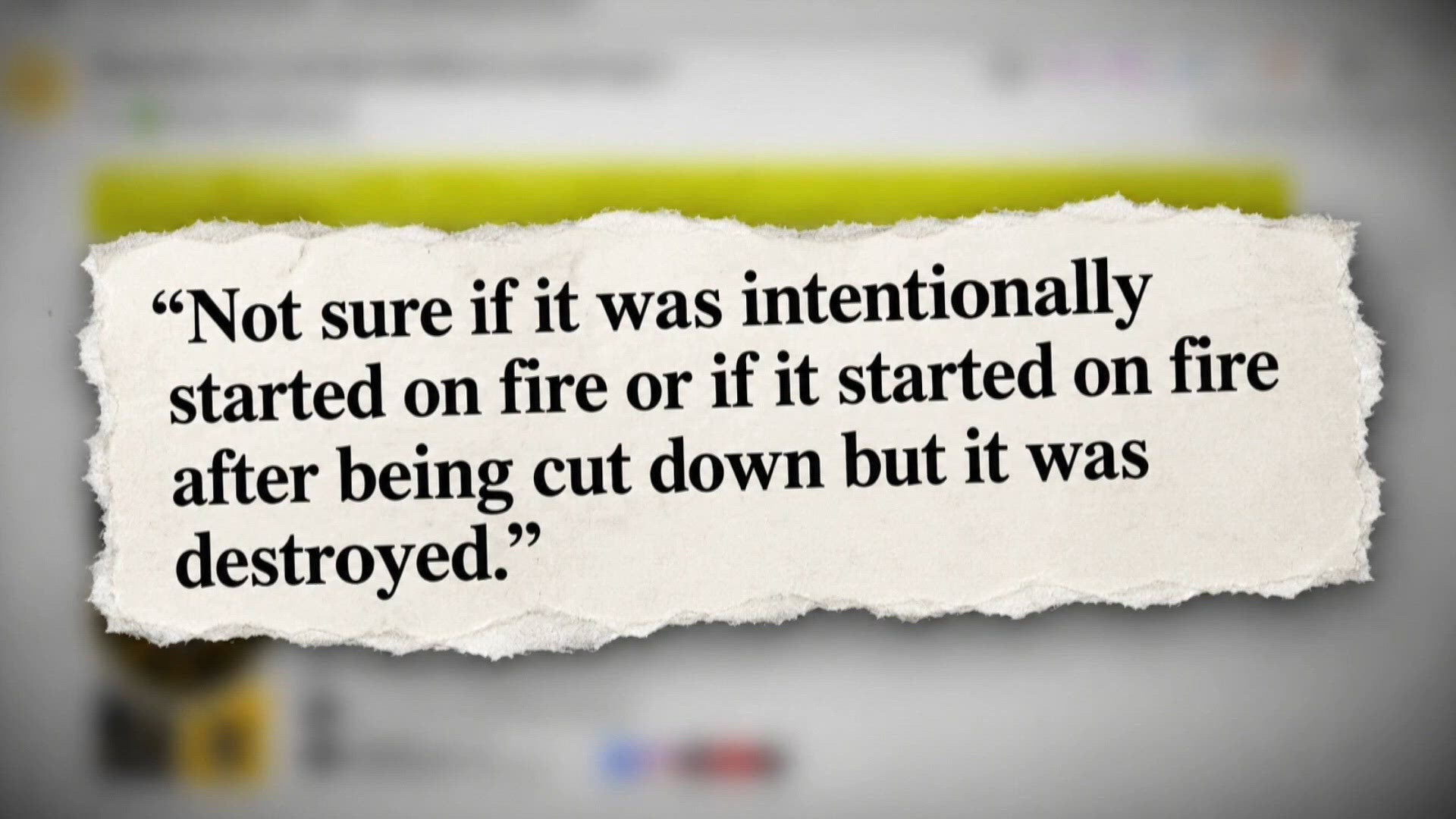 Cut Camera Example Cut down and destroyed: Flock camera targeted near Rockford | wzzm13.com