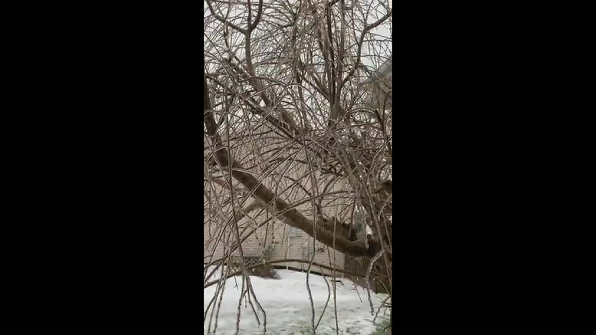 A video taken from Allendale of the freezing rain yesterday
Credit: Cassie/ Mom