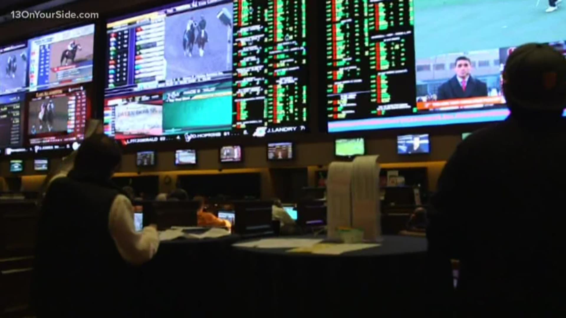 Michigan legalized sports betting and online gambling late last year.