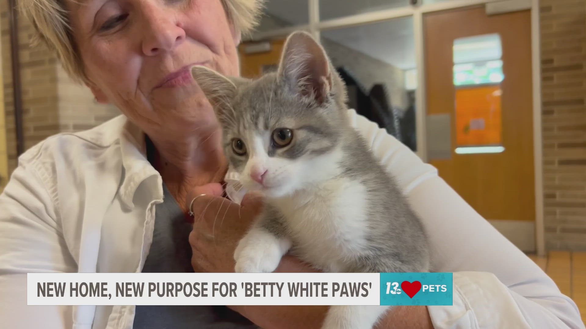 "Betty White Paws" was found alone and partially paralyzed outside Big Lake Humane Society. But after a month of rehabilitation, her future is looking bright.