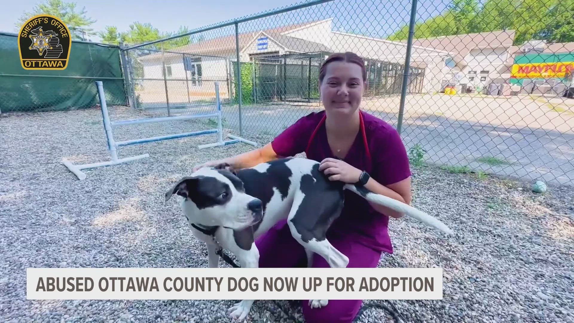 When Animal Control Deputies in Ottawa County first found Freddie the Dog he was skinny and was suffering from a gunshot wound.