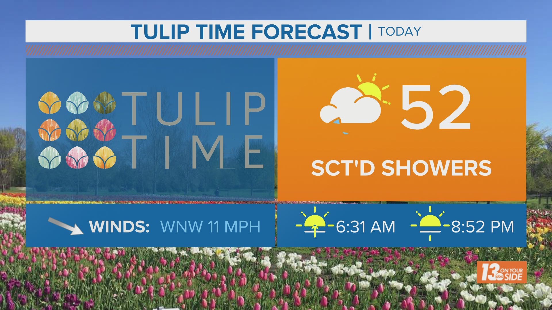 There is one weekend left to check out Tulip Time!