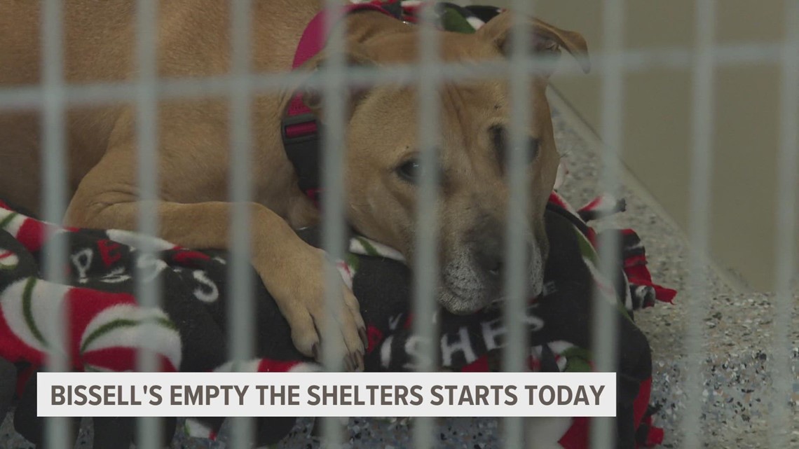 Bissell Pet Foundation's Empty the Shelters event arrives at crucial ...