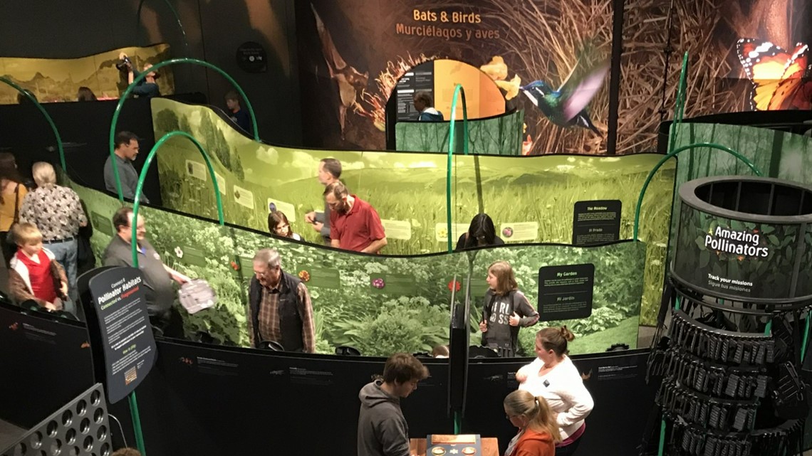 New GRPM Pollination Exhibit Features Interactive Maze | Wzzm13.com