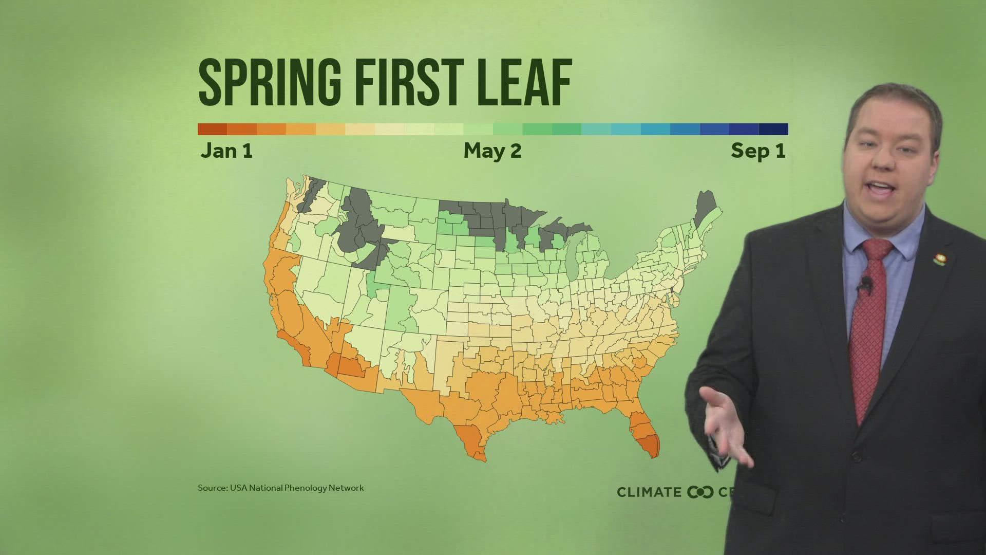 Expect to see more green as you travel around West Michigan in the coming days and weeks. Meteorologist Michael Behrens examines the timeline!