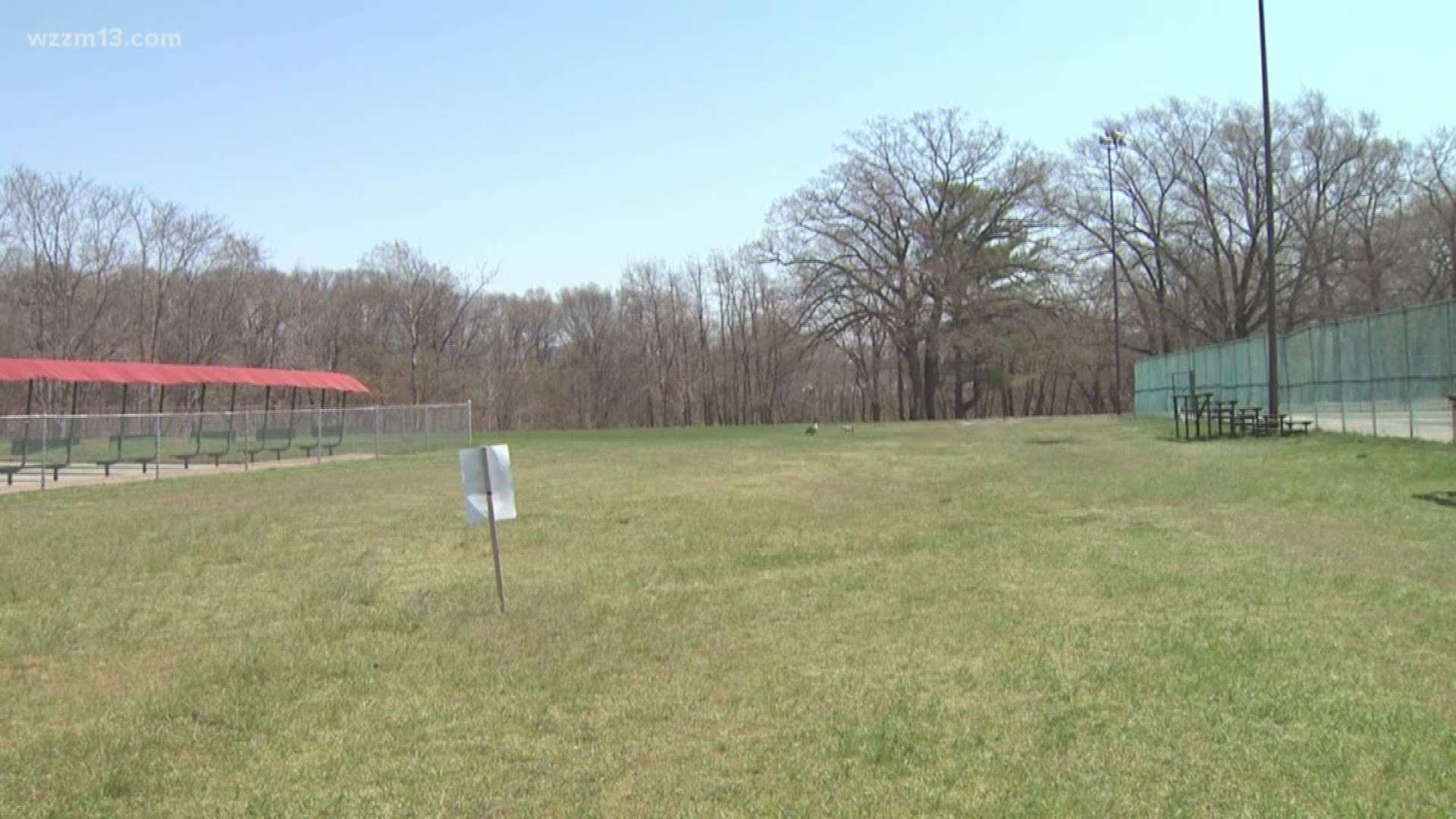 Verify: Does disc golf put trees at risk?