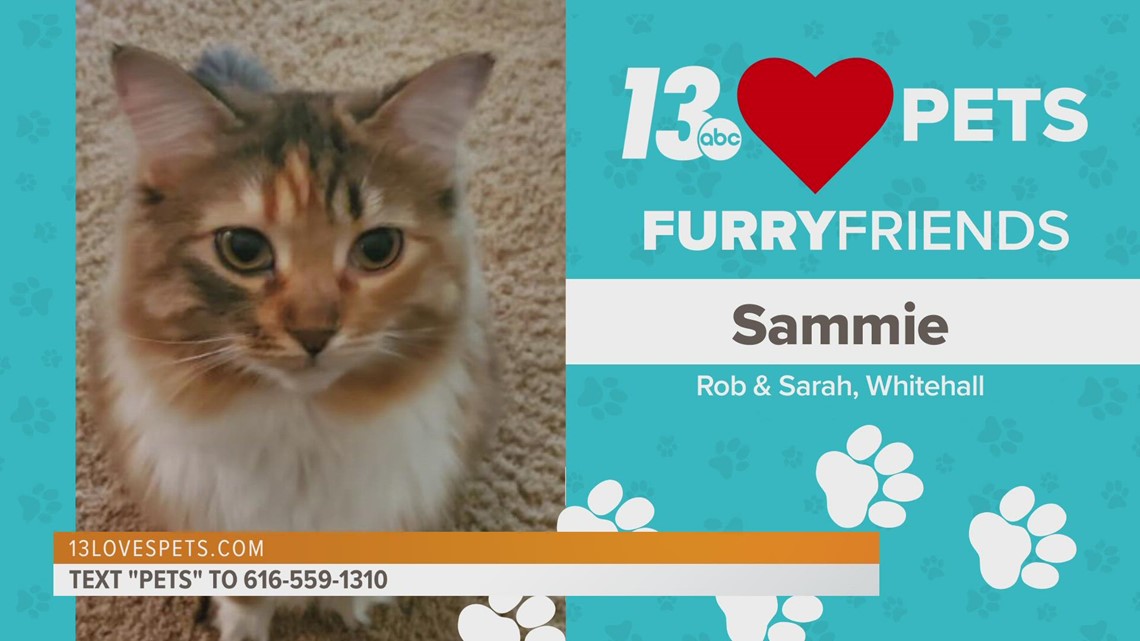 Furry Friends:  June 14, 2022 | Hazel and Sammie