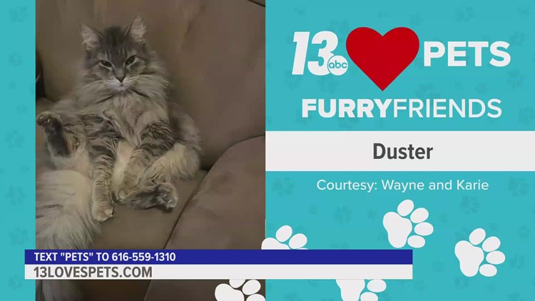 Furry Friends:  February 2, 2023 | Duster and Ted